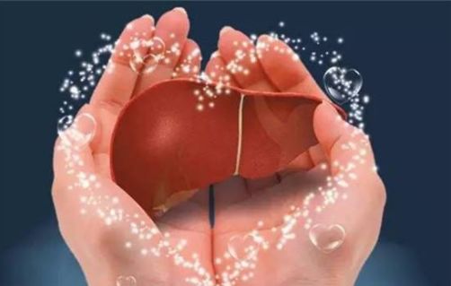 肝損傷恢復(fù)時間解析，多久能夠重返健康？，肝損傷恢復(fù)時間詳解，多久可重返健康生活？