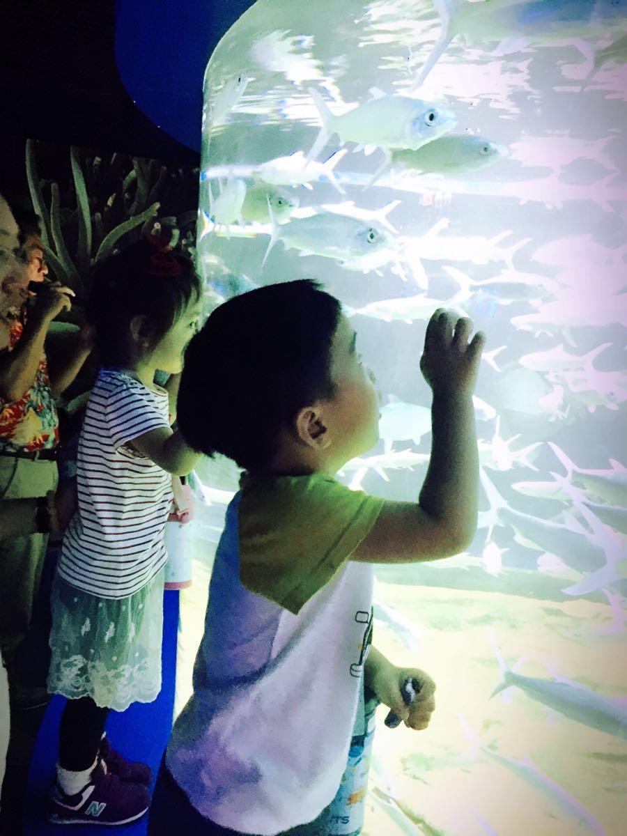 大連兩日游攻略，探索這座城市的魅力，大連兩日游攻略，探尋城市魅力之旅