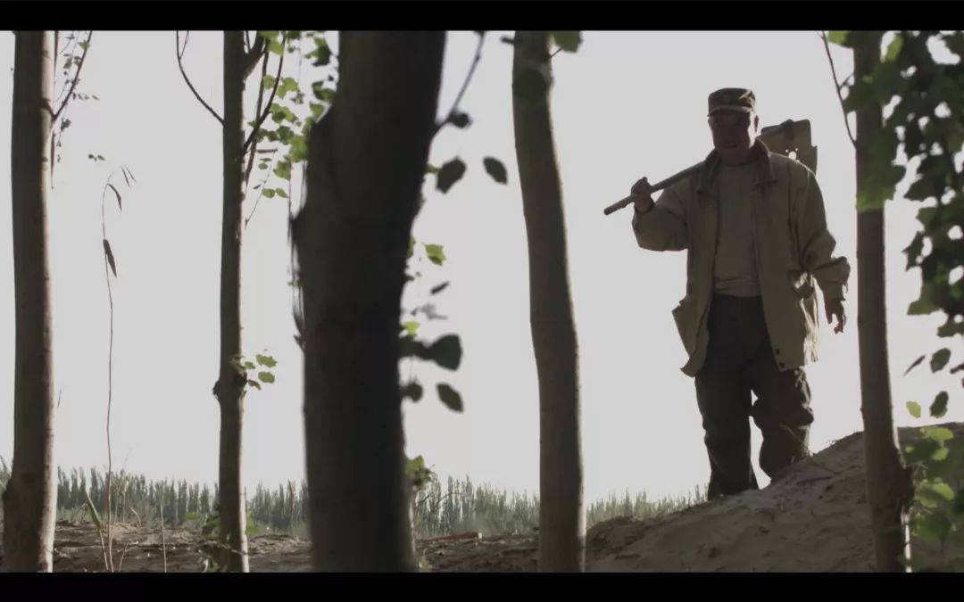 今晚劉伯溫四不像一肖圖，揭秘神秘預測背后的故事，揭秘劉伯溫四不像一肖圖的神秘預測故事