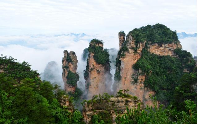 張家界森林公園簡介，自然之美的獨特呈現(xiàn)，張家界森林公園，自然之美的獨特呈現(xiàn)
