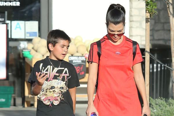 王中王兔費(fèi)一肖，揭秘背后的秘密與SEO策略，揭秘王中王兔費(fèi)預(yù)測背后的秘密與SEO策略