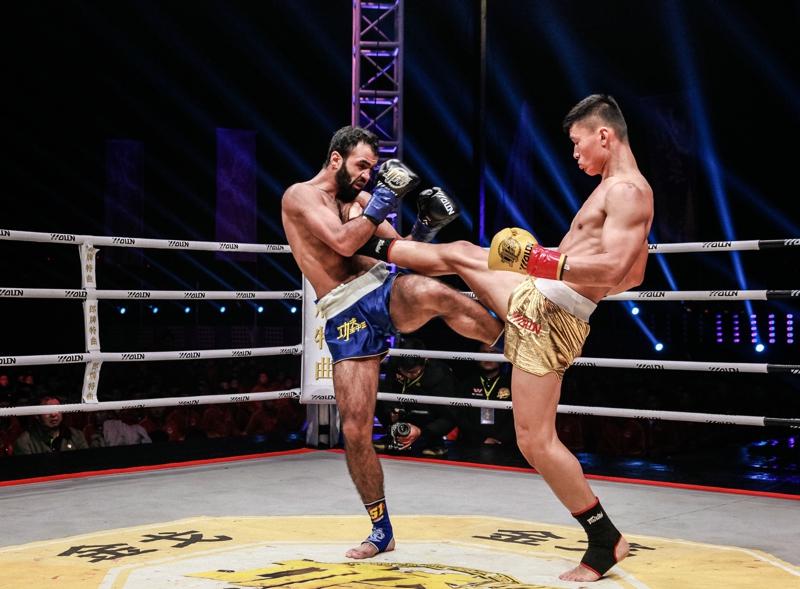 王中王網(wǎng)四肖主一碼，深度解析與SEO優(yōu)化策略，王中王網(wǎng)四肖主一碼，深度解析與SEO優(yōu)化策略全攻略