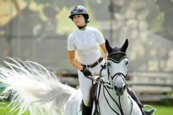 揭秘劉伯溫四肖選一碼的秘密，傳奇人物背后的故事與智慧，劉伯溫四肖選一碼揭秘，傳奇人物背后的秘密與智慧