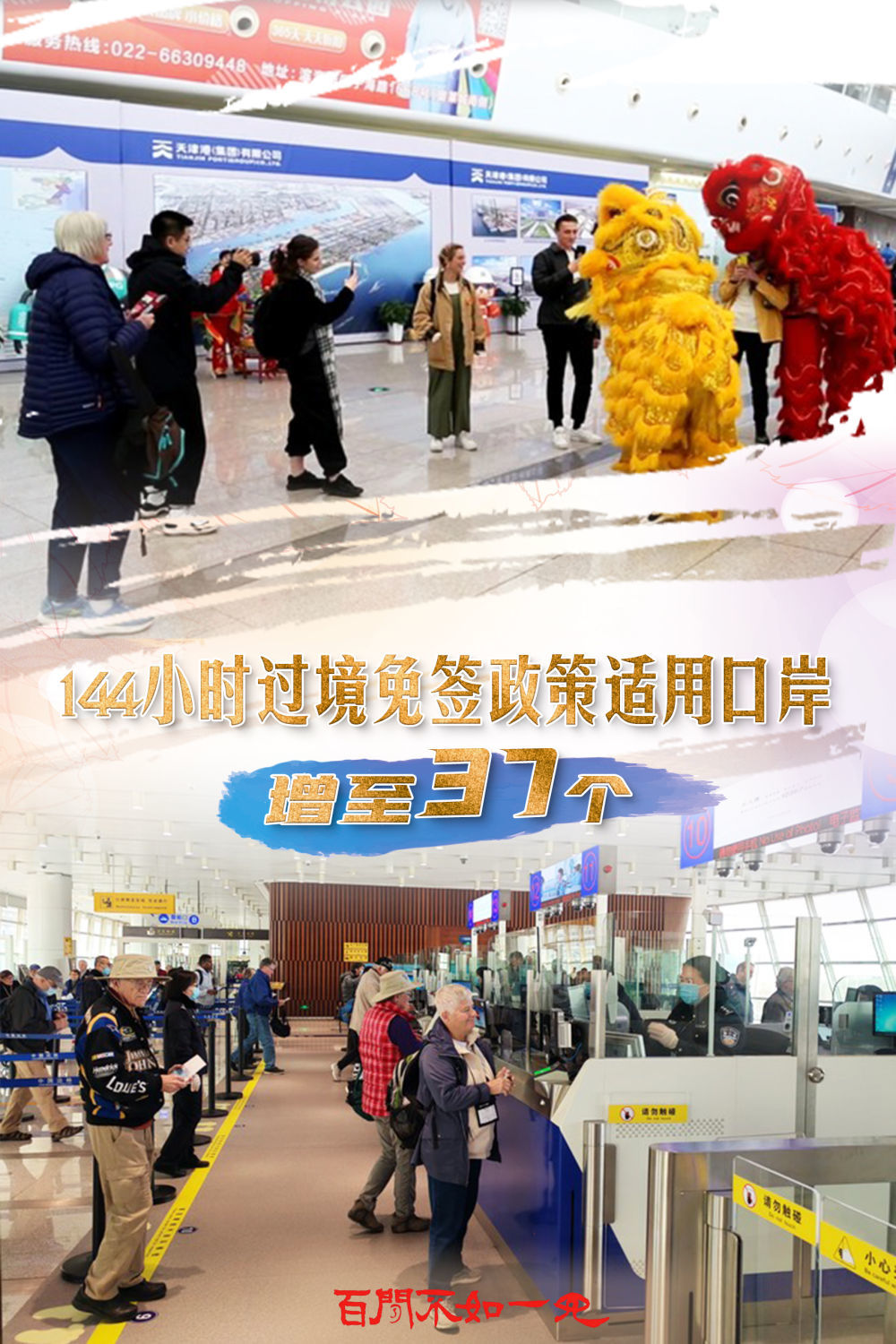 澳門王中王，揭秘一肖一特一中奧秘，澳門王中王揭秘生肖秘密，一肖一特一中奧秘探秘