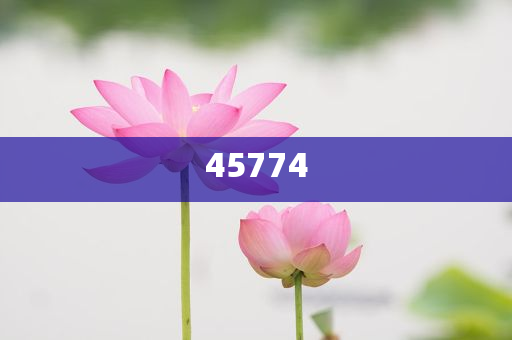 探索澳門正版免費(fèi)資源，未來的趨勢與預(yù)測（至2025年），澳門正版免費(fèi)資源趨勢探索與預(yù)測，未來展望至2025年