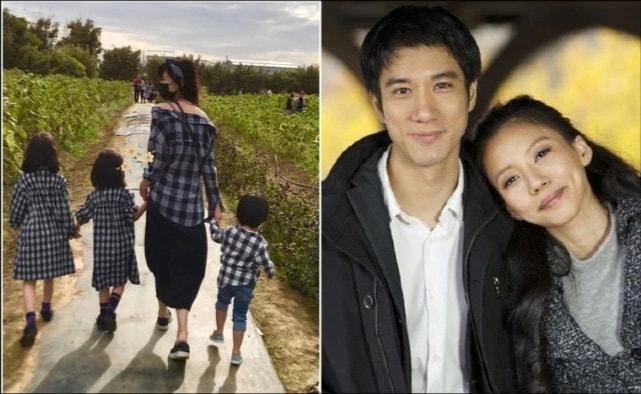 李靚蕾的家世背景深度解析，李靚蕾家世背景深度探究