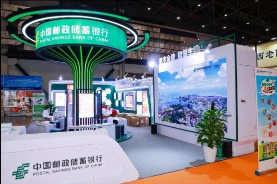 新澳2025今晚開獎資料詳解，新澳2025今晚開獎資料全面解析