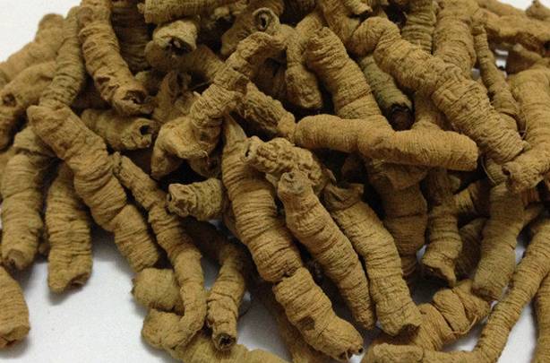 巴戟天的作用和功效，深入解析傳統(tǒng)中藥材的魅力，巴戟天的功效與作用，揭示傳統(tǒng)中藥材的奧秘與魅力