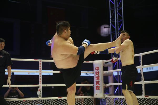 特特馬王中王一碼一肖，揭秘背后的秘密與探索SEO優(yōu)化策略，特特馬王中王一碼一肖，揭秘背后的秘密與SEO優(yōu)化策略探索