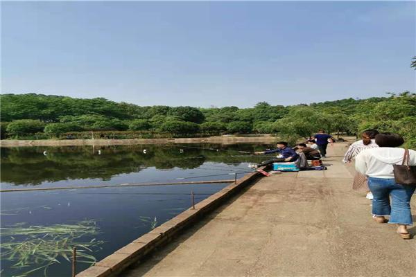 長(zhǎng)沙市內(nèi)一日游，探尋千年古都的魅力之旅，長(zhǎng)沙一日探秘千年古都之旅