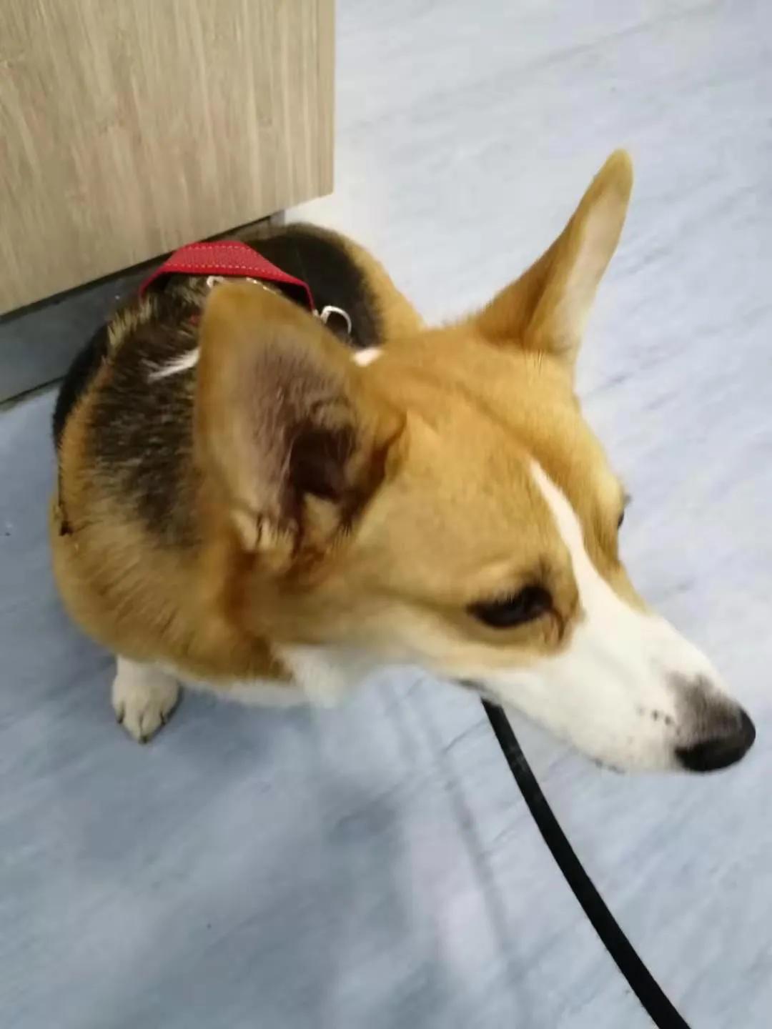 腎炎，深入了解與治療策略，腎炎，全面解析與治療指南