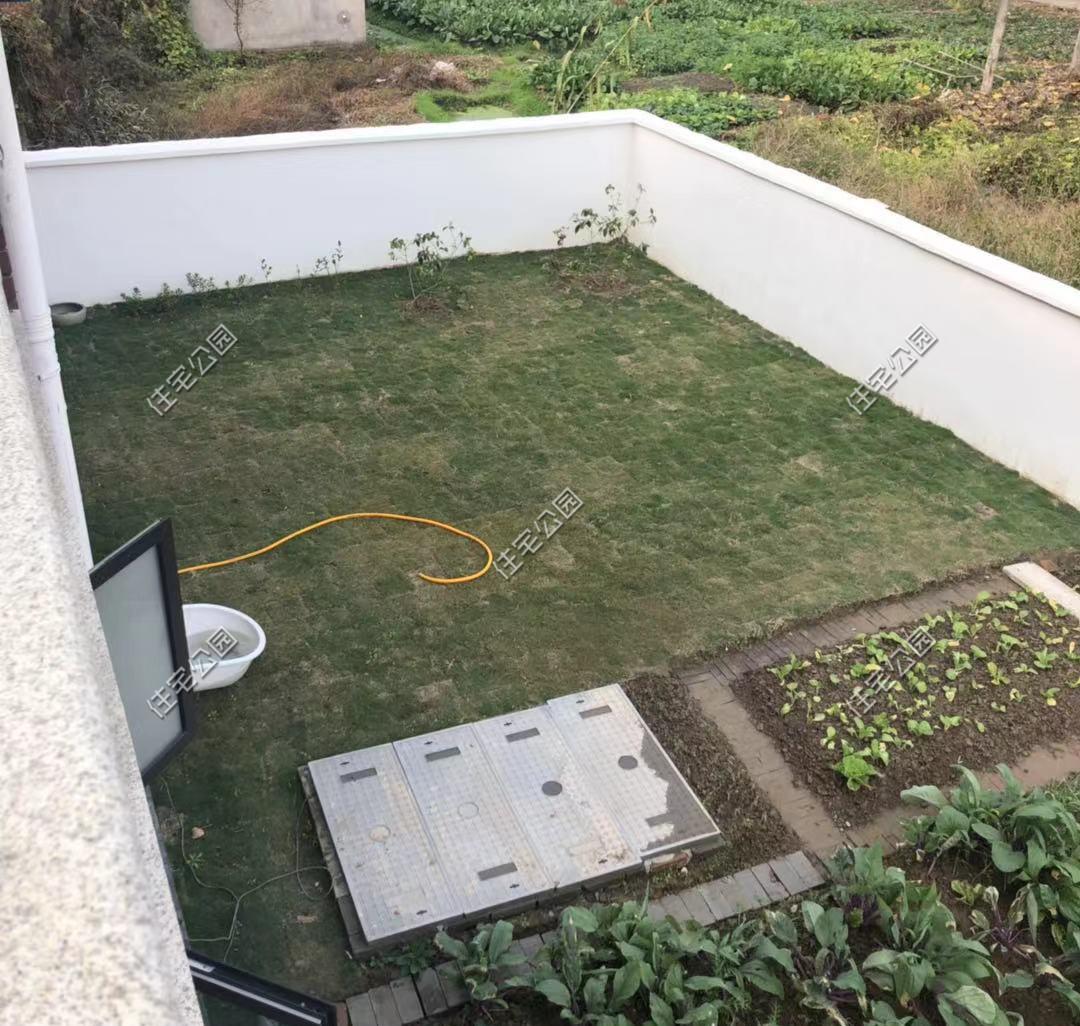 一肖中2碼，揭秘彩票背后的秘密與策略，揭秘彩票背后的策略與秘密，一肖中兩碼解析