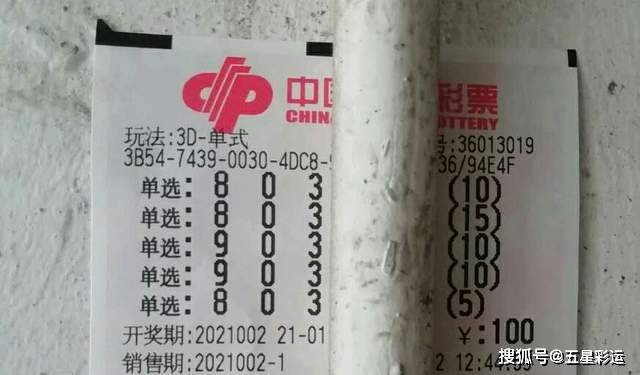 揭秘王中王平特一肖，背后的故事與奧秘，揭秘王中王平特一肖背后的故事與奧秘探秘