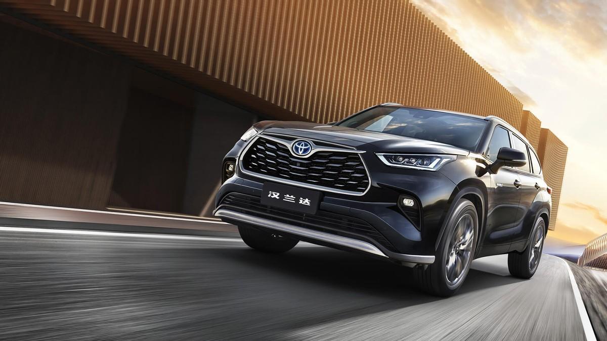 四肖期期一王中王，揭秘背后的秘密與策略洞察，揭秘四肖期期一王中王的秘密與策略洞察