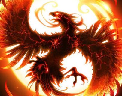 王中王精準(zhǔn)一肖中鳳凰，揭秘預(yù)測之謎，揭秘王中王精準(zhǔn)預(yù)測一肖中鳳凰的奧秘