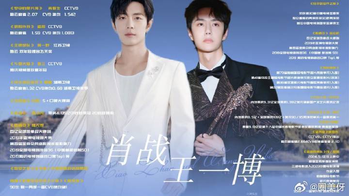 王中王一肖資料詳解，王中王一肖資料大全解析