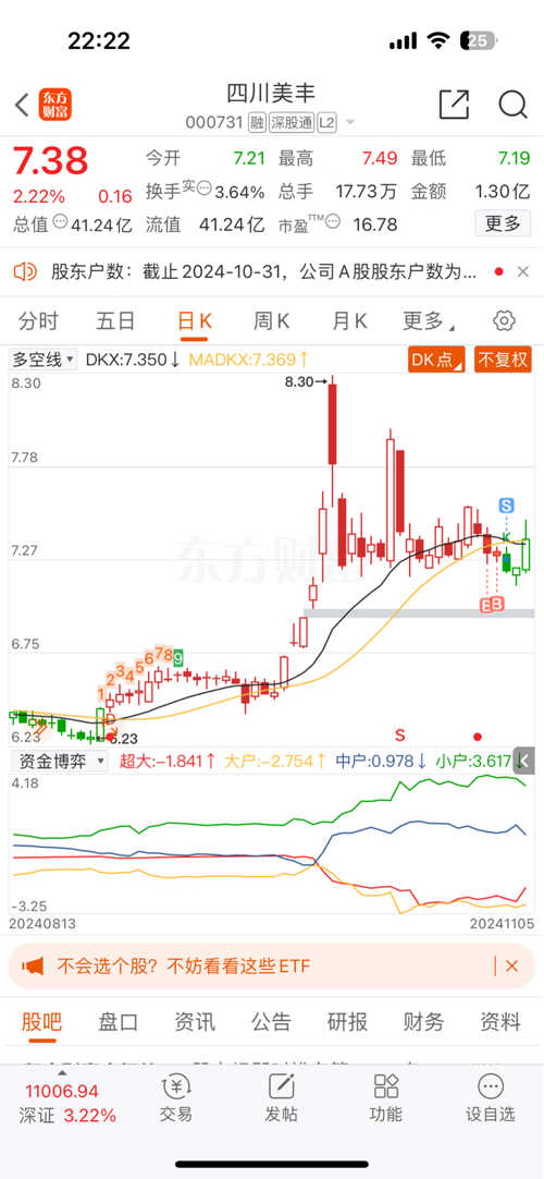 四川美豐股份股票，深度解析與發(fā)展前景展望，四川美豐股份股票深度解析與未來(lái)發(fā)展前景展望