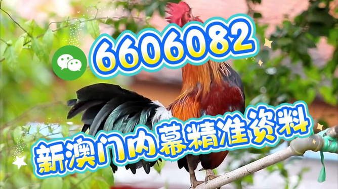 澳門特馬今天開獎結(jié)果，揭秘彩票背后的秘密，澳門特馬今天開獎結(jié)果揭秘，彩票背后的秘密大揭曉