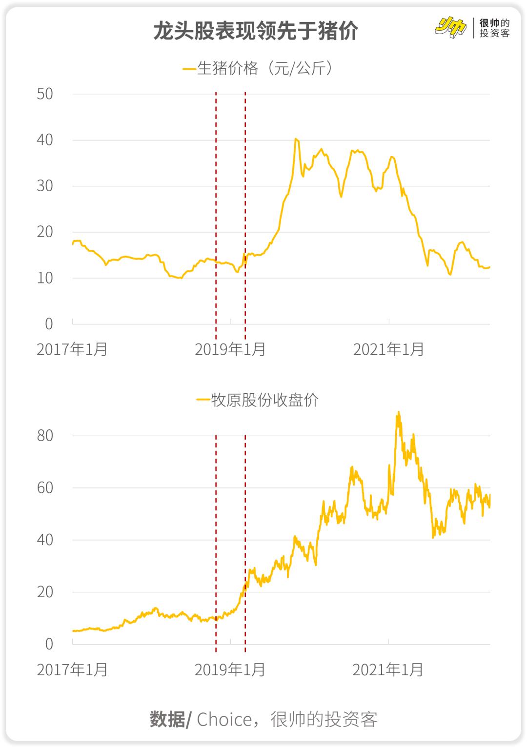 牧原股份股票行情深度解析，牧原股份股票行情全面深度解析