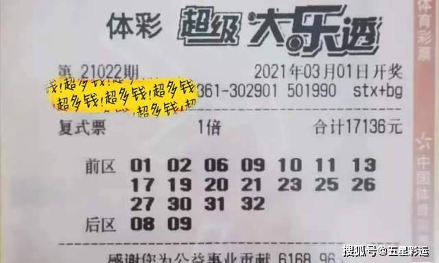 一肖三碼王中王，揭秘背后的秘密與策略，揭秘一肖三碼王中王的秘密與策略