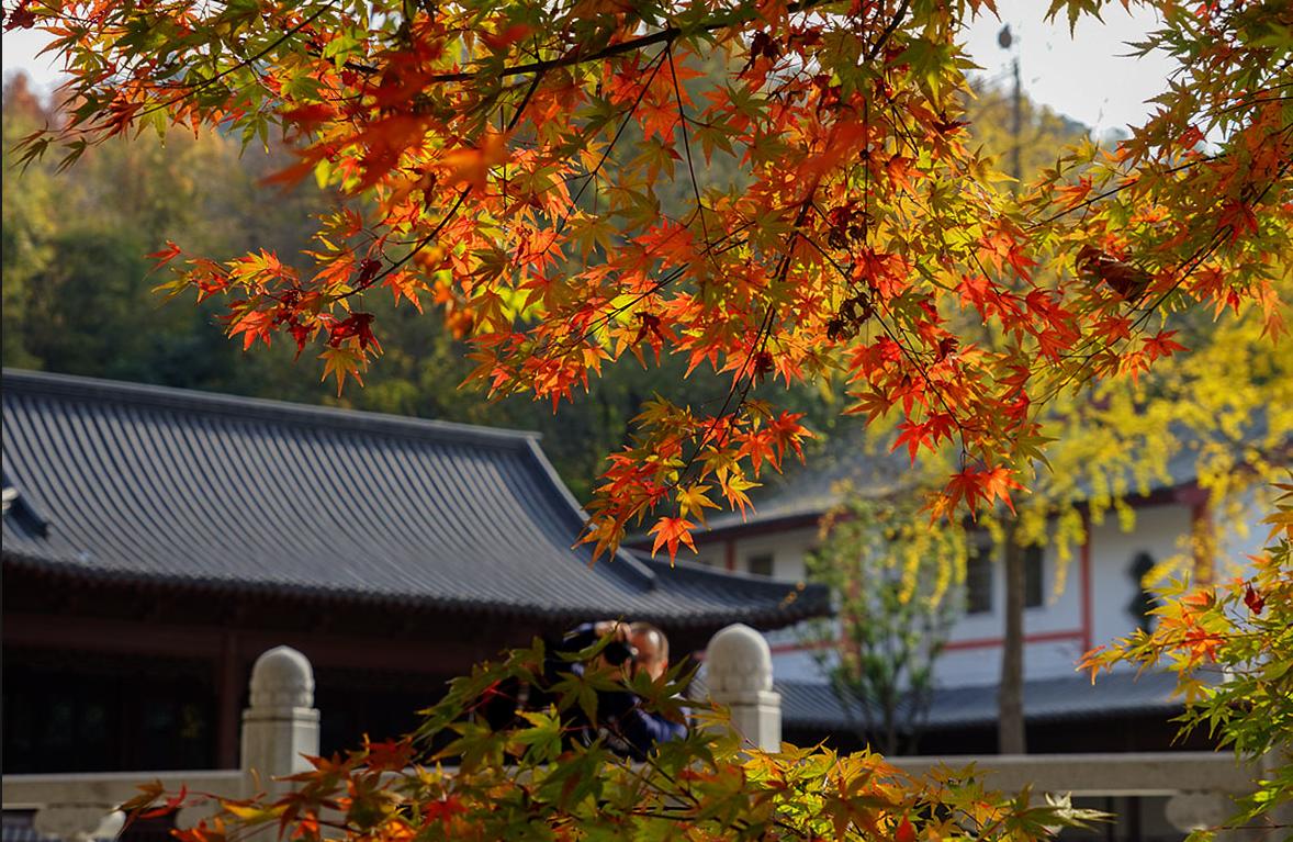 旅游景點(diǎn)推薦國內(nèi)，探尋中華大地之美，國內(nèi)旅游景點(diǎn)推薦，探尋中華大地絕美風(fēng)光