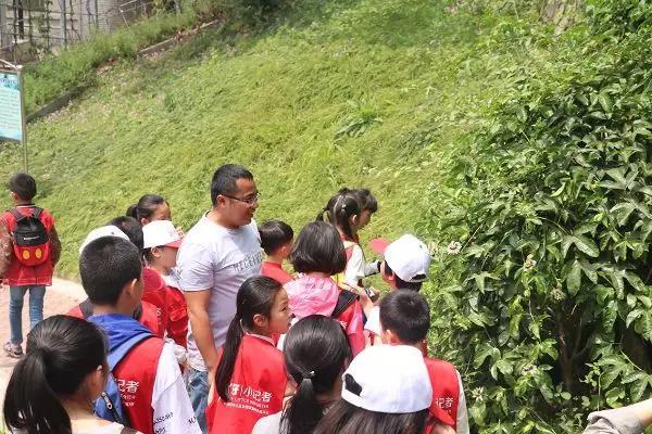 農(nóng)業(yè)氣象監(jiān)測設備，提升農(nóng)業(yè)生產(chǎn)效率的關鍵要素，農(nóng)業(yè)氣象監(jiān)測設備，提升農(nóng)業(yè)生產(chǎn)效率的關鍵驅(qū)動力