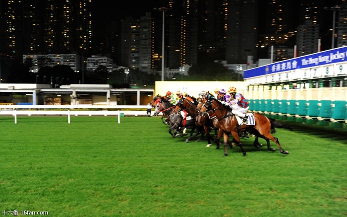 賽馬澳門六月開獎(jiǎng)結(jié)果，激情與期待的交匯點(diǎn)，澳門六月賽馬開獎(jiǎng)結(jié)果，激情與期待的巔峰時(shí)刻