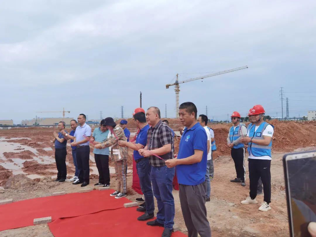 李子園股票，投資潛力與前景展望，李子園股票，投資潛力與未來(lái)前景展望