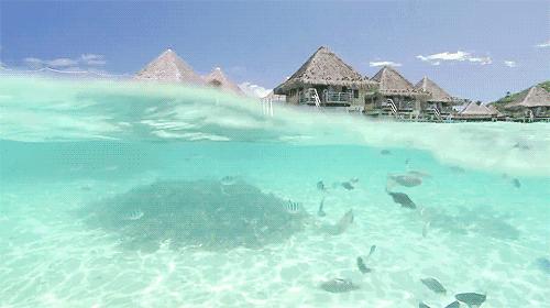 澳門(mén) 第8頁(yè)