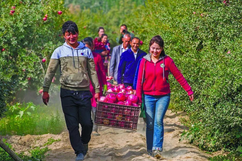 新浪澳門足球動態(tài)，賽場內(nèi)外的精彩瞬間與未來展望，新浪澳門足球動態(tài)，賽場內(nèi)外精彩瞬間與未來展望