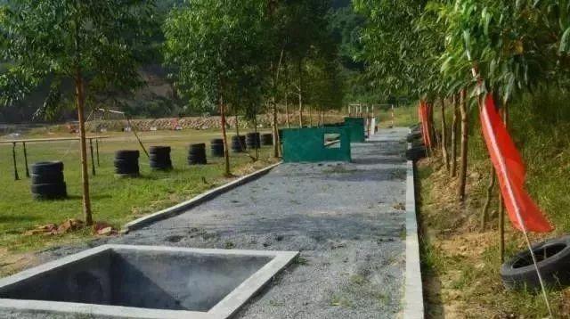 近期國防軍事事件，全球軍事動態(tài)深度解析，全球軍事動態(tài)深度解析，國防軍事事件最新進展與啟示