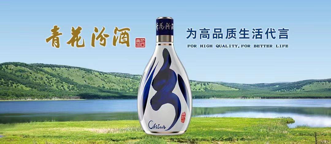 揭秘數(shù)字代碼600809，背后的故事與SEO洞察，數(shù)字代碼600809背后的故事與SEO洞察揭秘