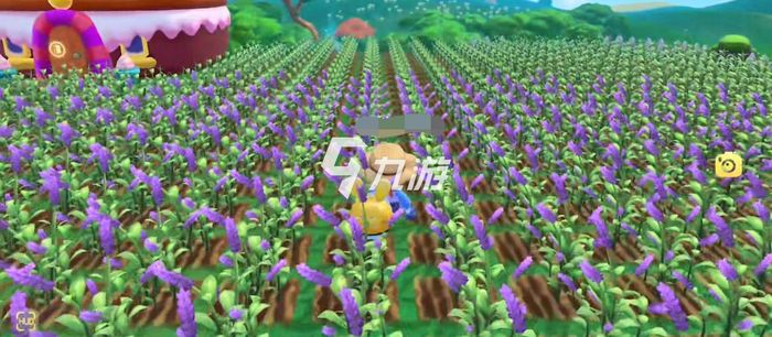 摩爾莊園紫羅蘭種子，種植與優(yōu)化的SEO策略，摩爾莊園紫羅蘭種子種植與SEO策略優(yōu)化指南