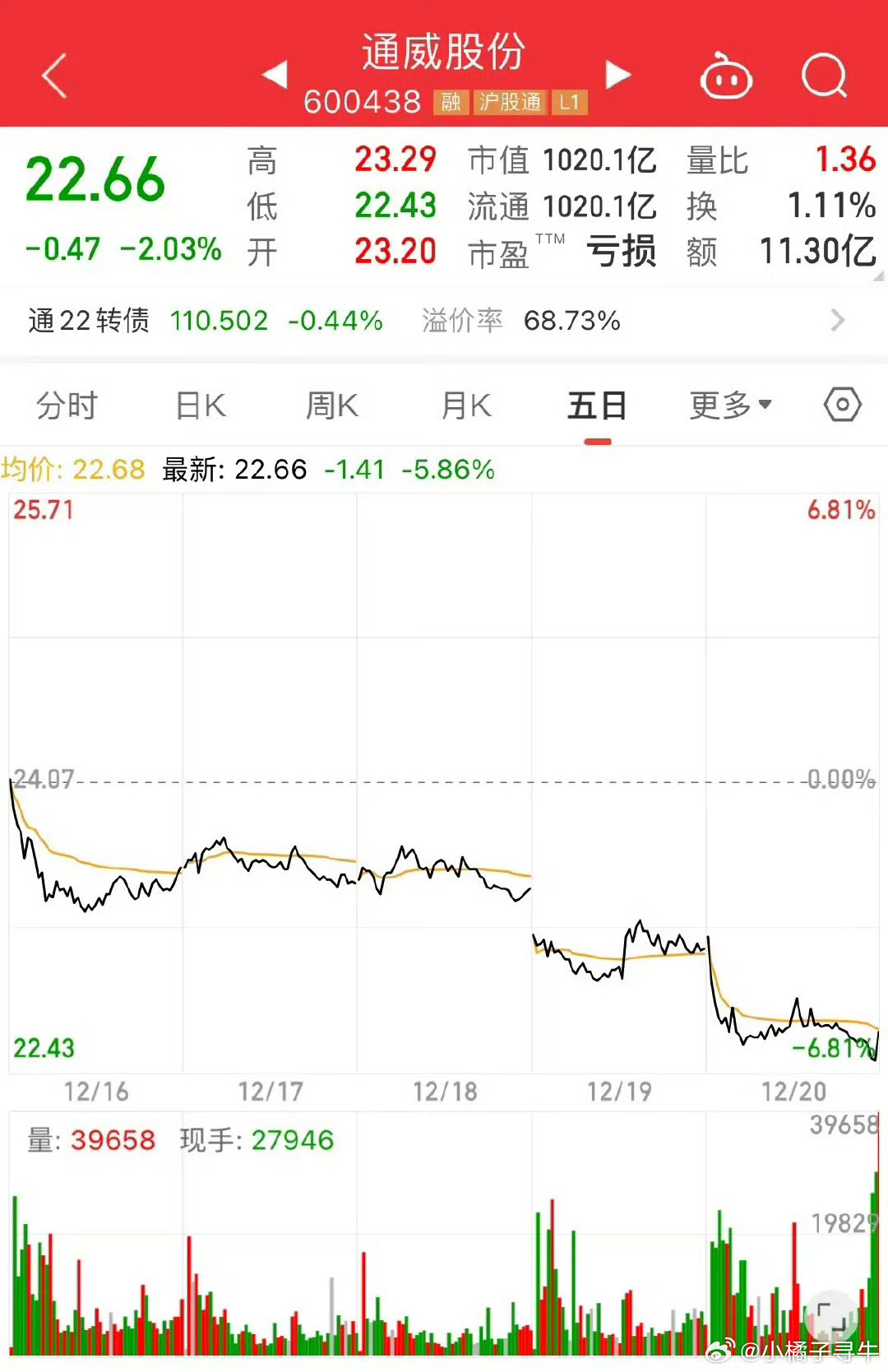 通威股份股票東方，探索與前景展望，通威股份股票東方，探索之路與前景展望