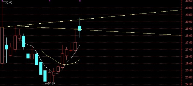 探索神秘的股市密碼，關(guān)于002554股吧的深度解析，深度解析股市密碼，揭秘002554股吧奧秘