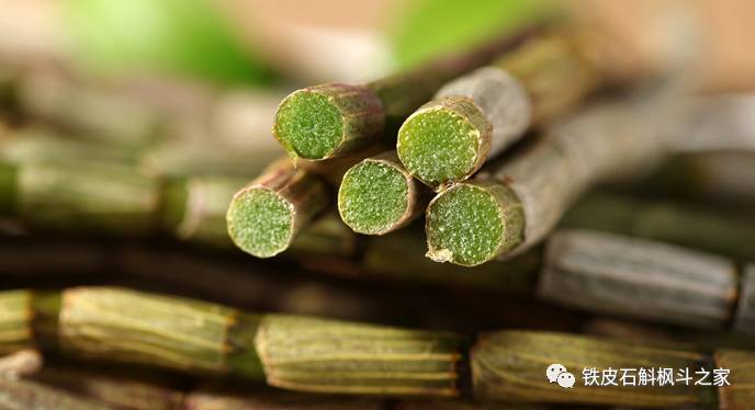 女人吃石斛的潛在風(fēng)險(xiǎn)與注意事項(xiàng)，女人食用石斛的潛在風(fēng)險(xiǎn)及注意事項(xiàng)