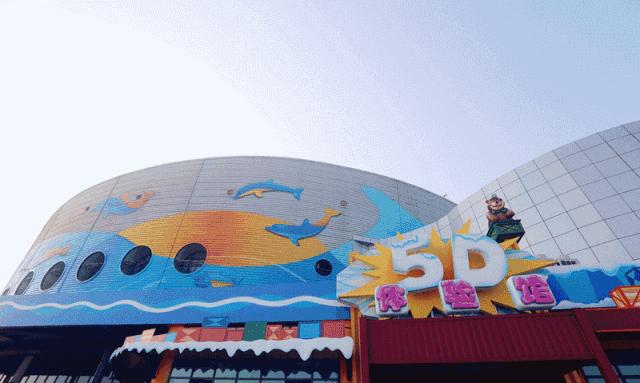 青島極地海洋館，探索神秘海洋的絕佳之地，青島極地海洋館，神秘海洋探索之旅的絕佳之地