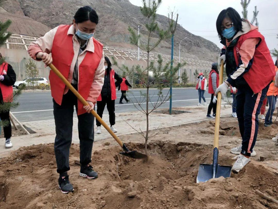天下彩天天空彩資料免費(fèi)大全管家，探索與解析，天下彩天天空彩資料大全管家，深度探索與解析