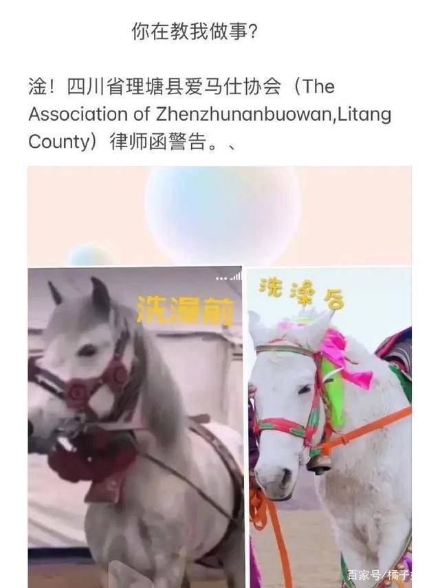 一馬爆特圖，揭秘背后的故事與SEO優(yōu)化策略，揭秘一馬爆特圖的背后故事與SEO優(yōu)化策略全攻略