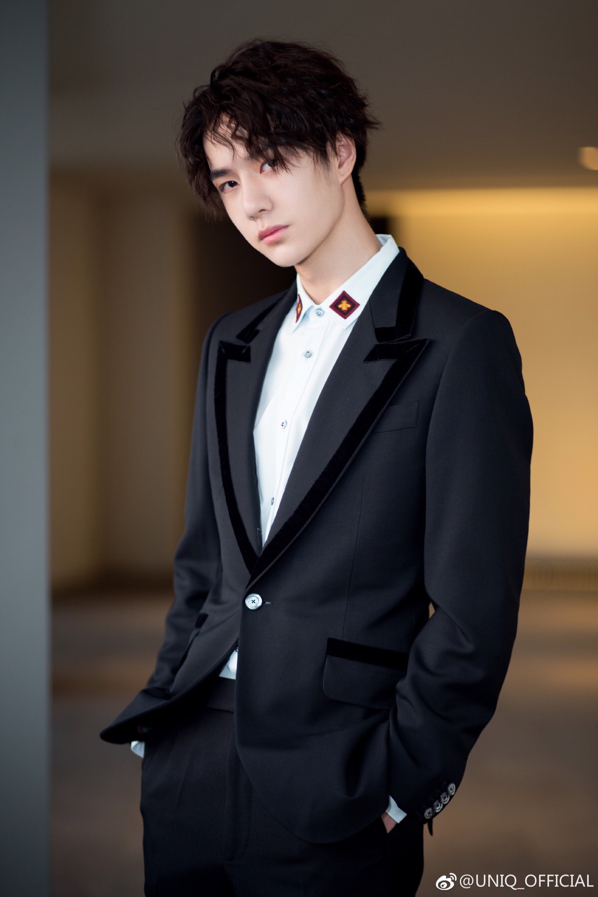 葡京王中王，一肖中特——揭秘賭場傳奇與生肖運勢的奇妙結(jié)合，葡京王中王，揭秘賭場傳奇與生肖運勢的神秘交融