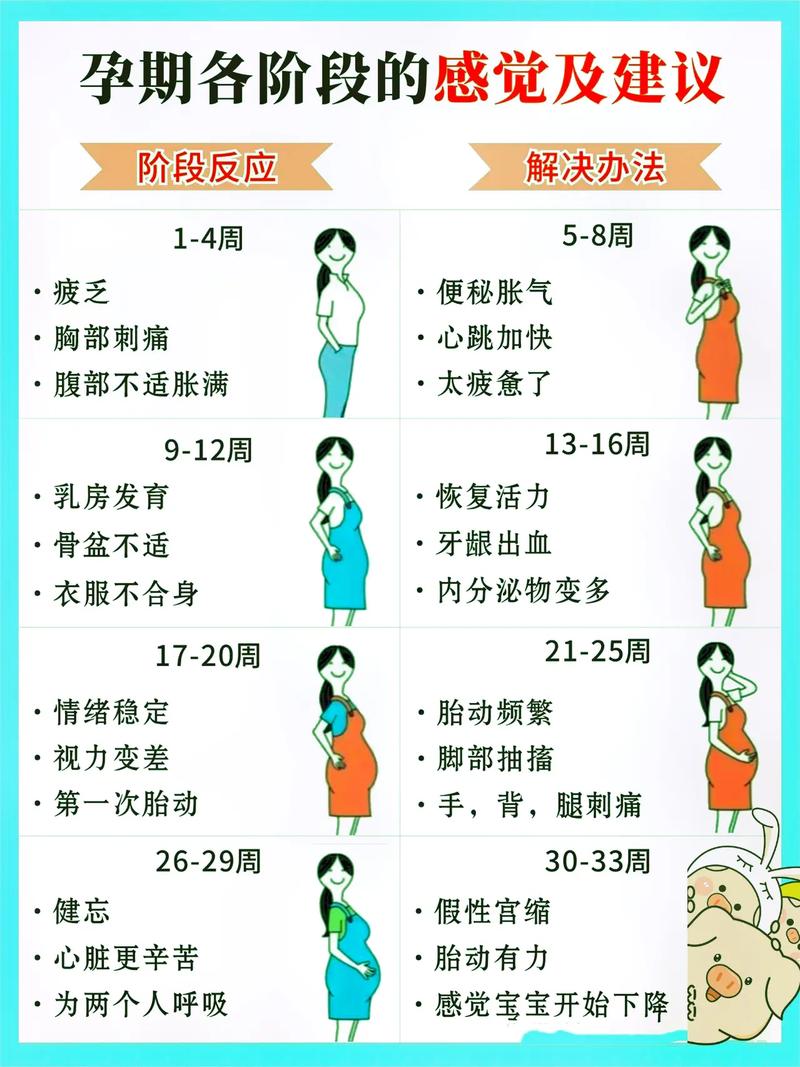 確定懷孕的十大征兆，懷孕征兆詳解，十大跡象揭示好消息