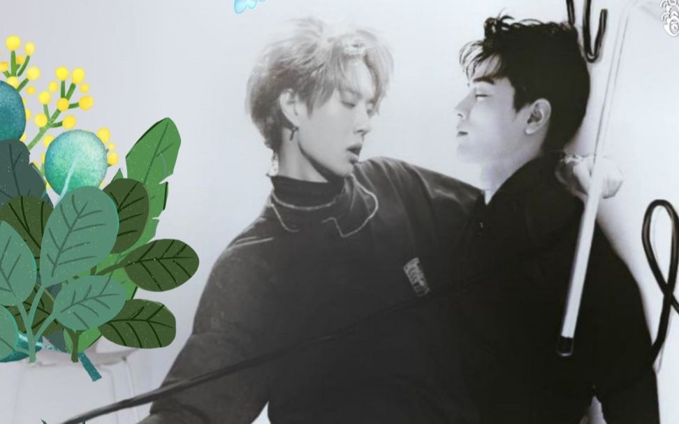 關(guān)于白小王中王一肖中特的SEO文章，王一肖SEO秘籍，白小王中王的關(guān)鍵優(yōu)化策略