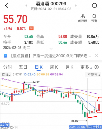 酒鬼酒股吧，深度解析與投資策略探討，酒鬼酒股吧深度解析及投資策略探討