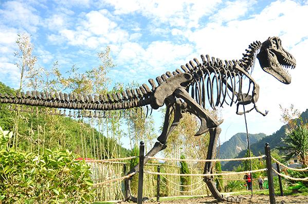 成都市區(qū)內(nèi)好玩的地方，探索魅力之都的無(wú)限樂(lè)趣，探索成都市區(qū)魅力，無(wú)限樂(lè)趣的游玩之地