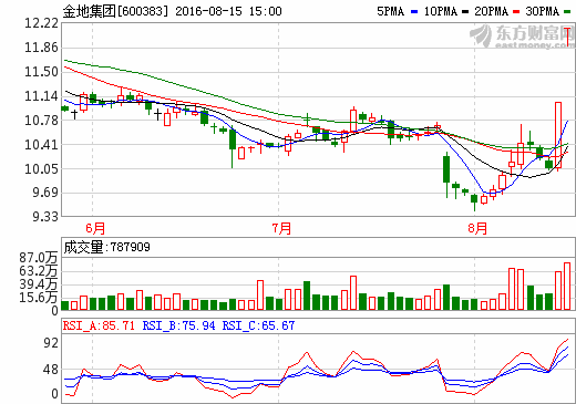 關(guān)于600383的最新消息全面解析，600383最新消息全面解析