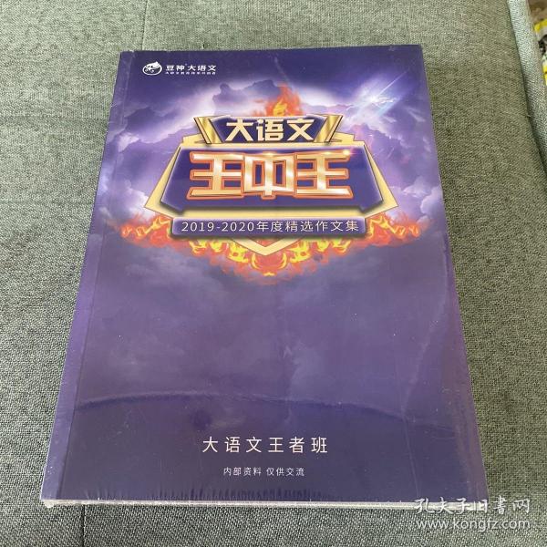 王中王資料2019一肖，深度解析與最新資訊，王中王資料2019一肖深度解析與最新資訊匯總