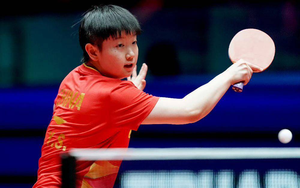 揭秘提升一肖一準(zhǔn)確率的策略與技巧，揭秘提升生肖預(yù)測(cè)準(zhǔn)確率的策略與技巧