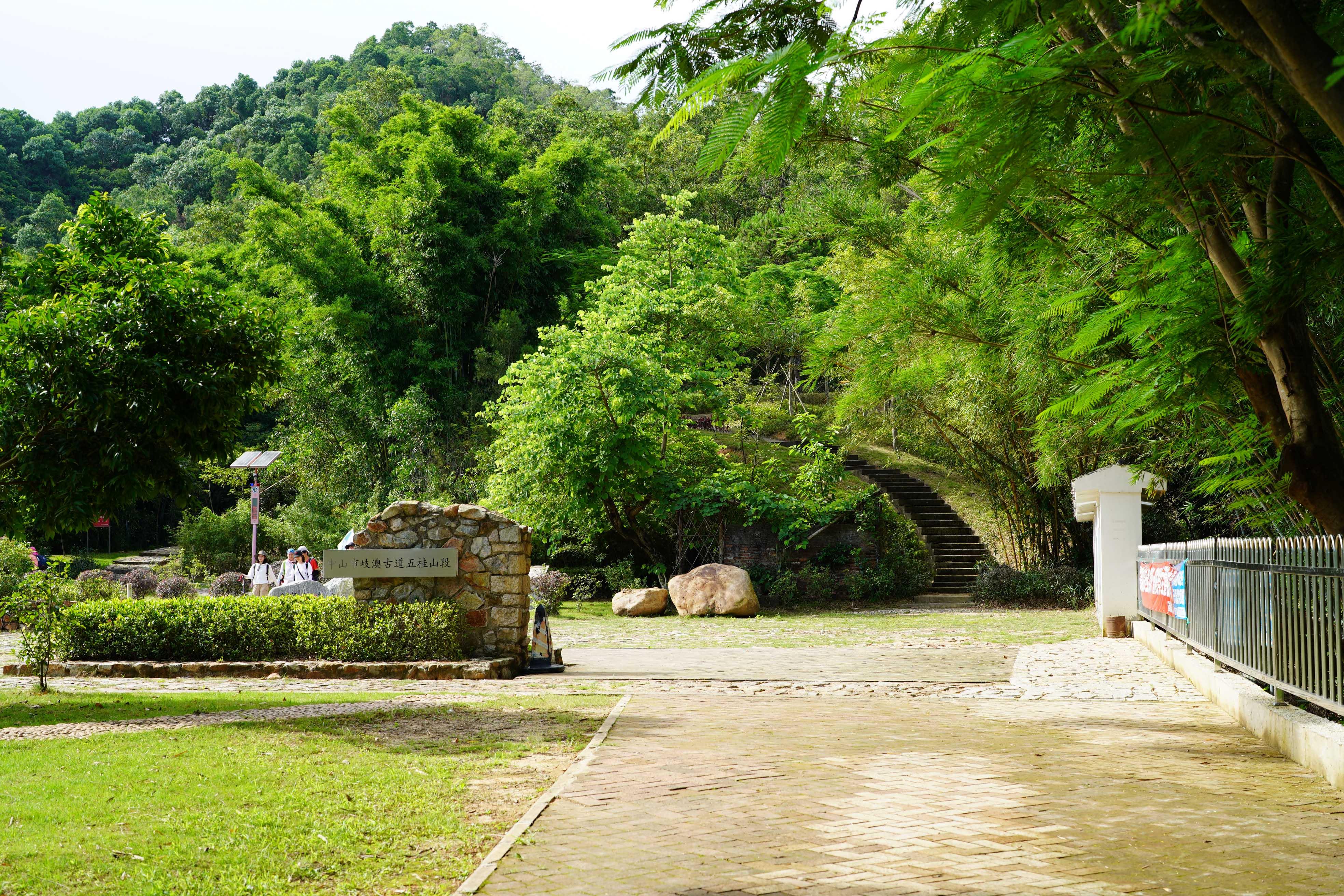 新奧門彩出號綜合走勢分析，新奧門彩出號綜合走勢解析