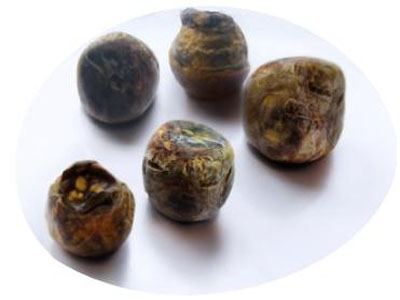 膽結(jié)石最怕一味中藥，探索治療膽結(jié)石的天然良藥，探索膽結(jié)石的天然良藥，中藥中的克星