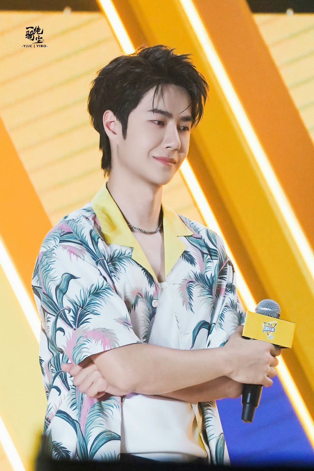 王中王一肖中特家婆，深度解讀背后的故事與奧秘，王中王一肖背后的故事與奧秘深度解讀